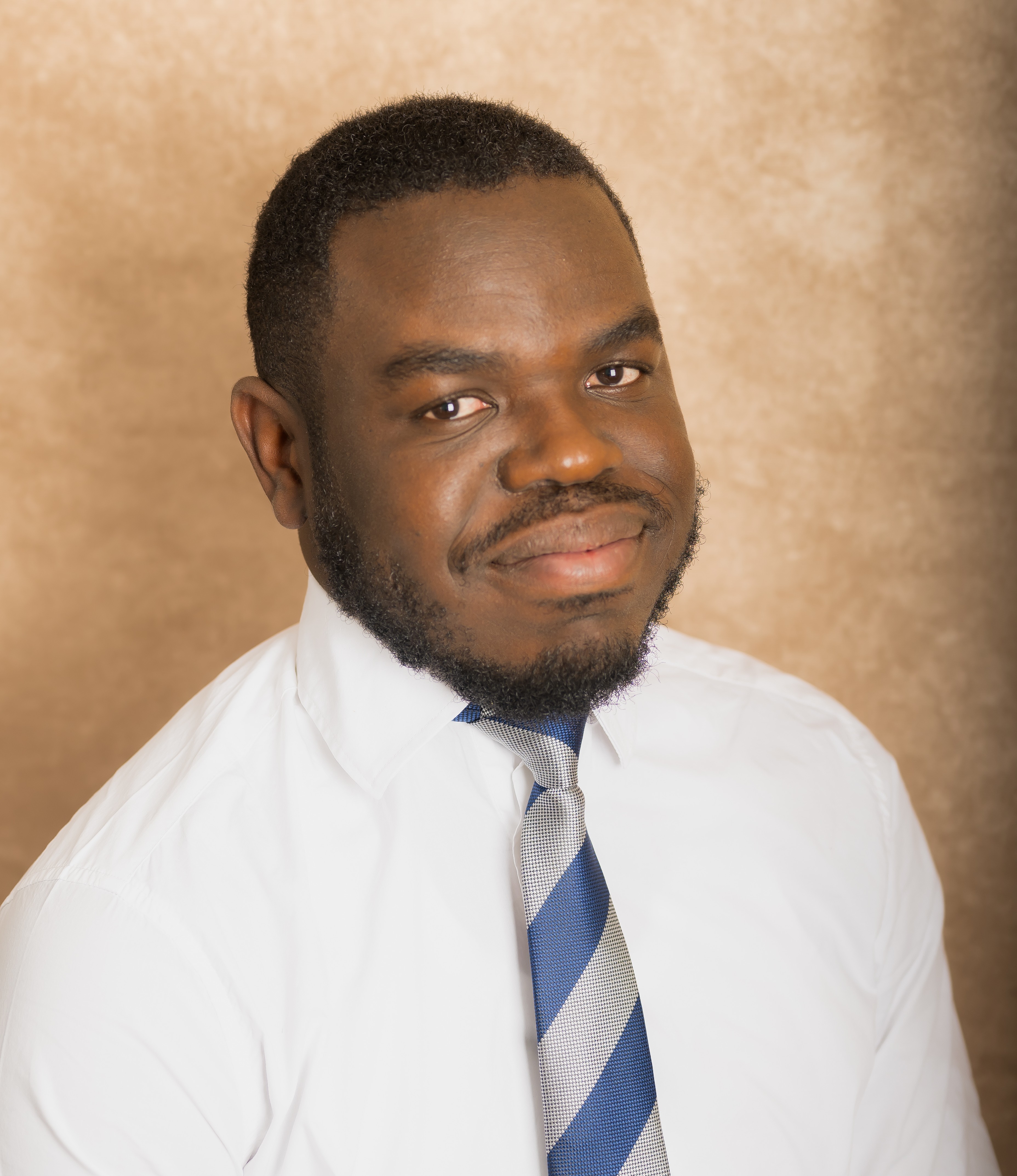 Professional portrait preview